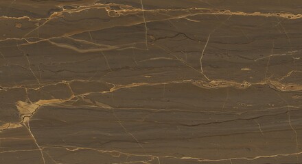 Close-up of richly textured, brown stone with gold veining, showcasing natural patterns