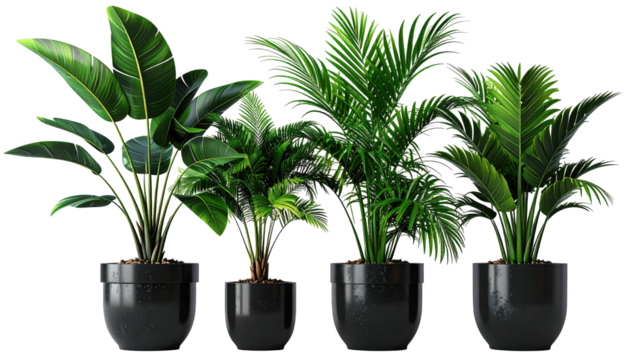 Four potted, vibrant, green leafy plants in black ceramic pots - Powered by Adobe