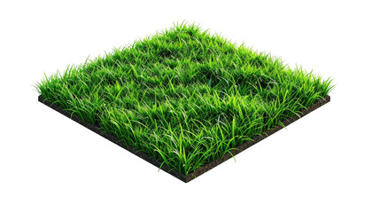 Lush square patch of green grass isolated on a black background