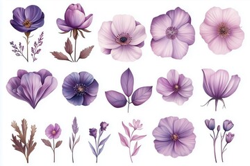 Watercolor Floral Composition: A delightful collection of various floral, showcasing soft watercolor textures, in a range of purples and pinks, suitable for creative projects.