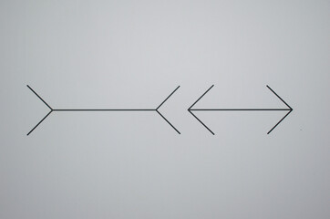 Müller-Lyer optical illusion, showing two parallel lines with arrow-like ends pointing inward and outward. This classic visual experiment explores human perception of length and geometry. 