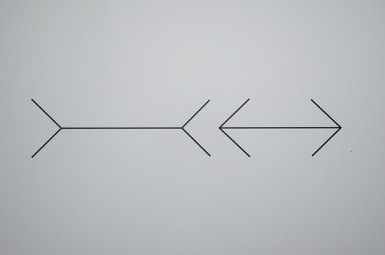 M&uuml;ller-Lyer optical illusion, showing two parallel lines with arrow-like ends pointing inward and outward. This classic visual experiment explores human perception of length and geometry. 