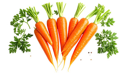 Group of carrots, green leafy tops and isolated on black ground