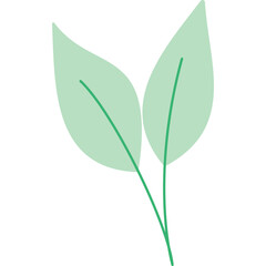 Two Light Green Leaves Stemming From A Single Point With Thin Green Lines Inside Each Leaf on a Transparent Background