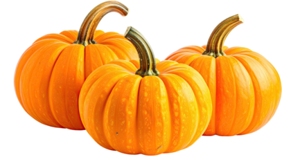 Three orange pumpkins, ridged with twisted stems, on dark background