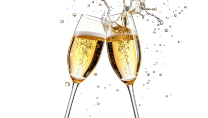 Toasting glasses, liquid frozen mid-air, black backdrop