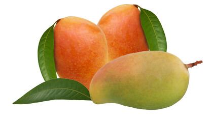 luscious mangos with vibrant colors and rich textures, evoking tropical freshness and exotic flavors, suitable for culinary themes and lifestyle imagery