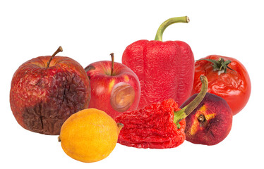 decaying produce including apples, peppers, tomatoes, and a lemon, emphasizing food waste, decomposition, and impermanence in a dark studio setting