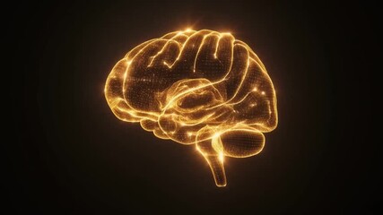 3D Golden Holographic Brain Rotation: Neuroscience, AI Technology & Data Visualization in Wireframe Style. - Powered by Adobe