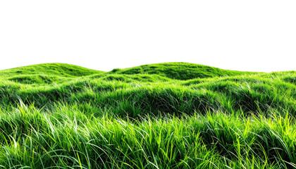 Lush, green grassy hillside under a dark, isolated sky