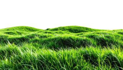 Lush, green grassy hillside under a dark, isolated sky