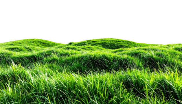 Lush, green grassy hillside under a dark, isolated sky