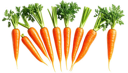 Eight orange carrots with green tops arranged on a black backdrop