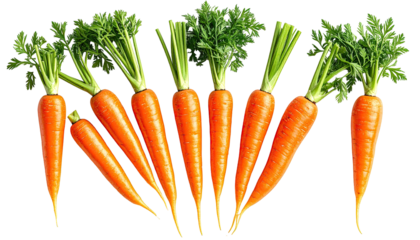 Eight orange carrots with green tops arranged on a black backdrop