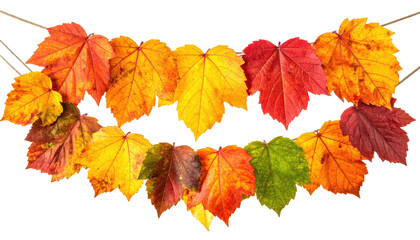 Autumn leaves strung on cord, colorful garland