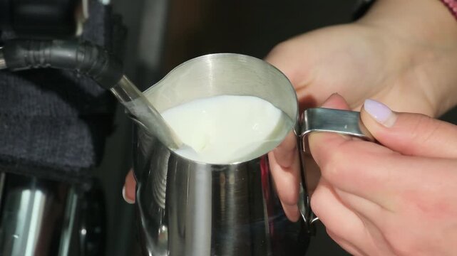 Barista directs milk into steam wand of espresso machine. Young lady adjusts pressure of flow with control knob to fill pitcher slow motion