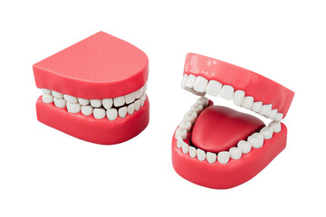 Toy jaw teeth model set with red gums and white teeth, one open showing tongue, isolated style on white background. Concept of dental health. 3D Rendering
