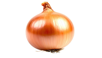 Fototapeta premium Golden bulb onion isolated on black, roots and thin skin visible