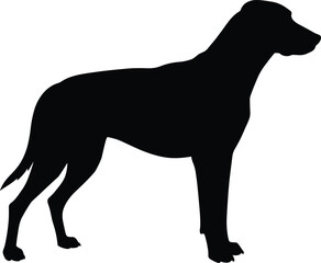 Dog silhouette standing pose, black vector illustration of domestic pet, animal outline design, simple flat shape, isolated graphic artwork, minimal concept