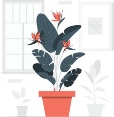 Bird of Paradise Plant in a Coral Pot with Window and Artwork strelitzia