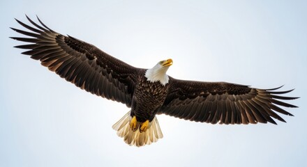 Naklejka premium Bald eagle soaring in a bright, partly cloudy sky, wings outstretched in graceful flight