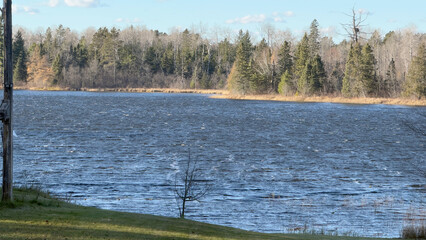 lake in the forest during autumn