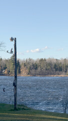 A lamp post by the lake in autumn