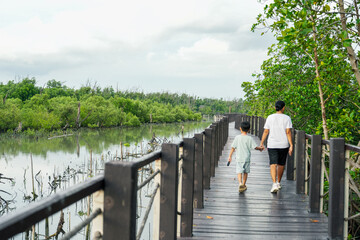 Nature Conservation Center and Mangrove Conservation Center the longest in Thailand at Samet district, Chonburi Province.