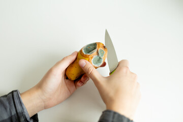 Person cutting off the moldy rotten part of a pear with a knife