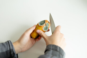 Person cutting off the moldy rotten part of a pear with a knife