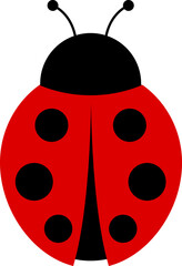 Cute ladybug characters collection. Flying cartoon ladybug with dotted path. Ladybugs flying on dotted route. ladybug icon set. Insects group. illustration isolated on white.