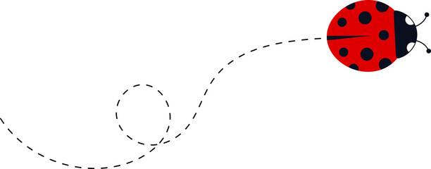 ladybug icon set. Ladybugs flying on dotted route. Cute ladybug characters collection. Ladybug with dotted path. Ladybugs flying on dotted route.  illustration isolated on white. © Volodymyr