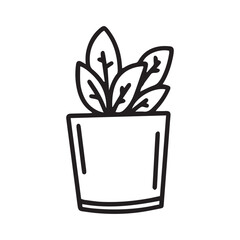 plant in a pot