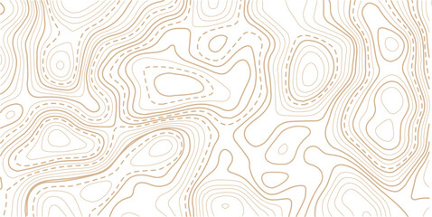  The topo contour or wallpaper. Mountain trail terrain or path. Vector illustration.Modern design with White background with topographic wavy pattern design.
