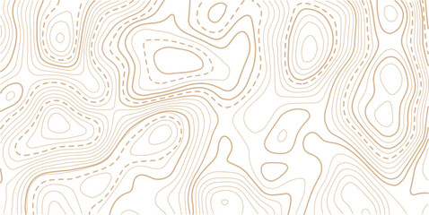 Topographic map contour background. Topo with elevation. The concept of a conditional geography scheme and contour line map image. Geographic mountain relief diagram line wave carve pattern
