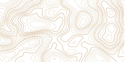 Fototapeta premium .Topographic line contour map background, geographic grid map, stock vector illustration. Geographic mountain relief diagram line wave carve pattern.
