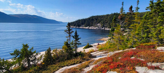Obraz premium Tadoussac, Quebec, Canada: Pointe-de-l'Islet Trail at the mouth of the Saguenay Fjord
