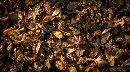 Natural texture of dried brown leaves on the ground creating an autumn background