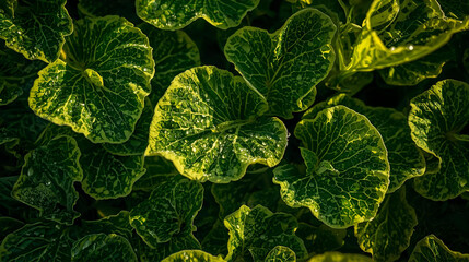 Close-up macro texture of fresh green organic leaves, showing growth and nature's vibrant spring color.