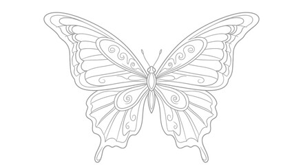 Detailed butterfly drawing showcasing symmetrical wing patterns and delicate lines illustration