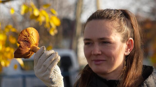 A poisonous mushroom. A woman holds a golden scaly cap and examines it closely in autumn.