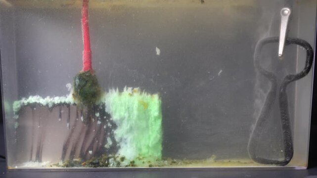 Anode mud collects on the side of the nickel plate closest to the cathode.