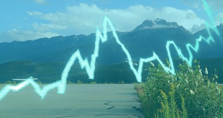 Displaying cyan line graph overlay across runway, with yellow wildflowers and snowcapped peaks