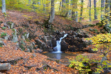 Waterfall in the forest in autumn