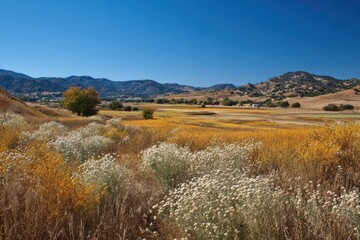 Julian California. Autumn Scenery with Native Plants in San Diego County Countryside