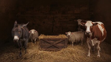 Swinging barn door letting daylight into barn with feeding crate, barn animals responding to light - Powered by Adobe