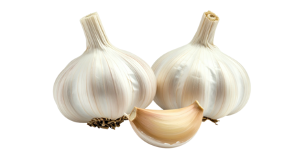 Two bulbs and one clove of garlic on a dark background