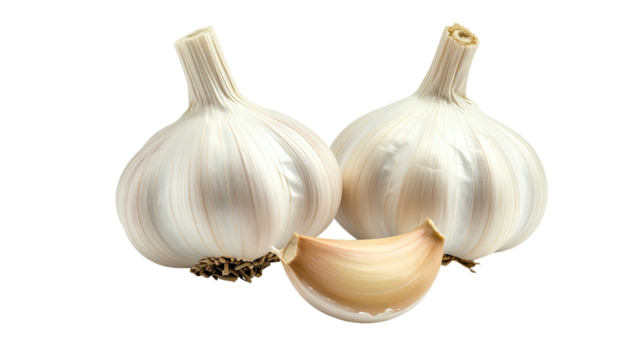 Two bulbs and one clove of garlic on a dark background