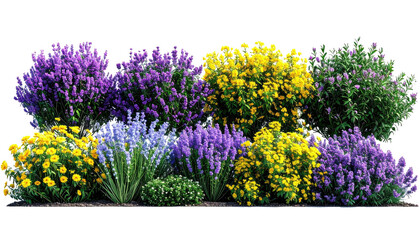 Floral garden bed with purple and yellow blossoms