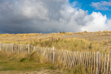 Fototapeta premium Fence along coastal dunes. Wooden fence runs through yellow dune grass with blue sky and clouds above. A classic coastal protection landscape.